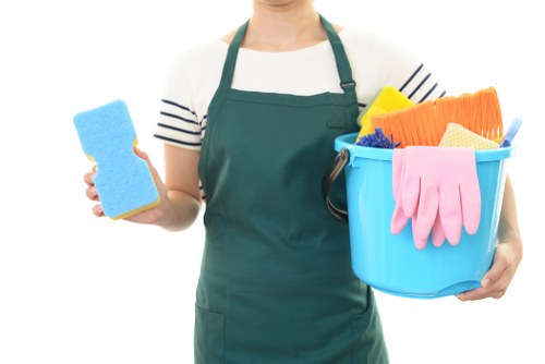 Local service for removing pet urine smells from rugs and carpets