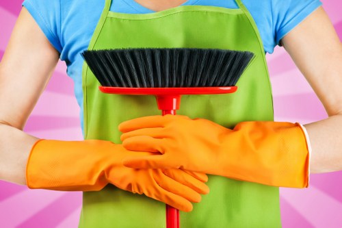 Domestic cleaner working in a Richmond upon Thames family home