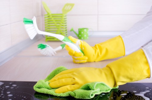 Regular housekeeping for a flat in Richmond upon Thames