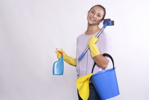 Bathroom and storage area cleaning for move in service in Richmond upon Thames